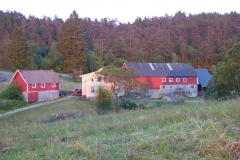 Fiddan-Øko-Gård (16)